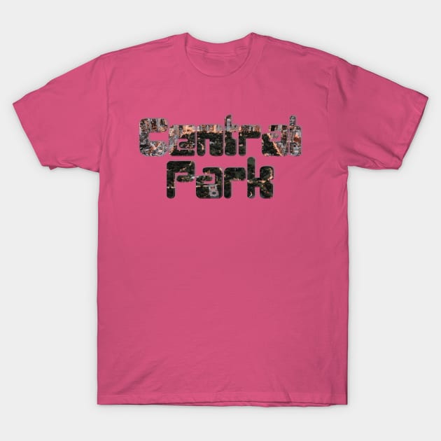 Central Park T-Shirt by afternoontees